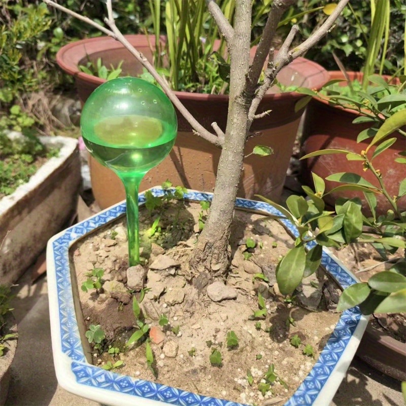 6 adet iç mekan bitkileri kend - Yoocaa Smart Garden incelemesi ve fiyatı