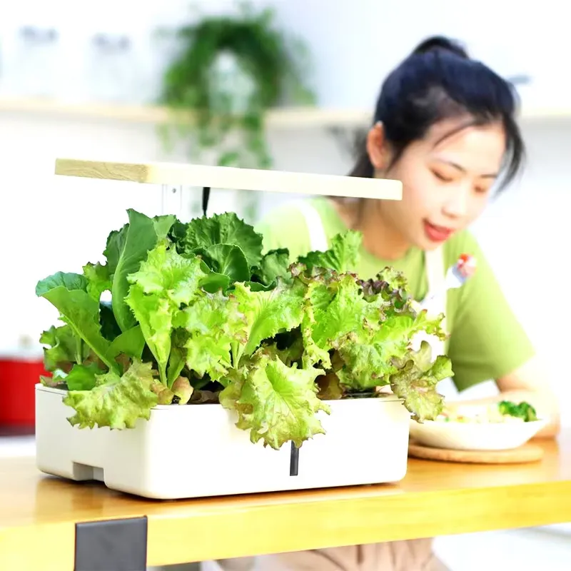 Akıllı Hidroponik İç Mekan Bah - Smart Garden Offices incelemesi ve fiyatı