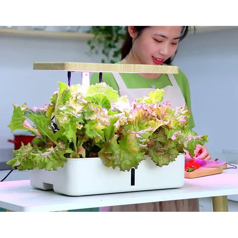 Akıllı Hidroponik İç Mekan Bah - Smart Garden Offices incelemesi ve fiyatı