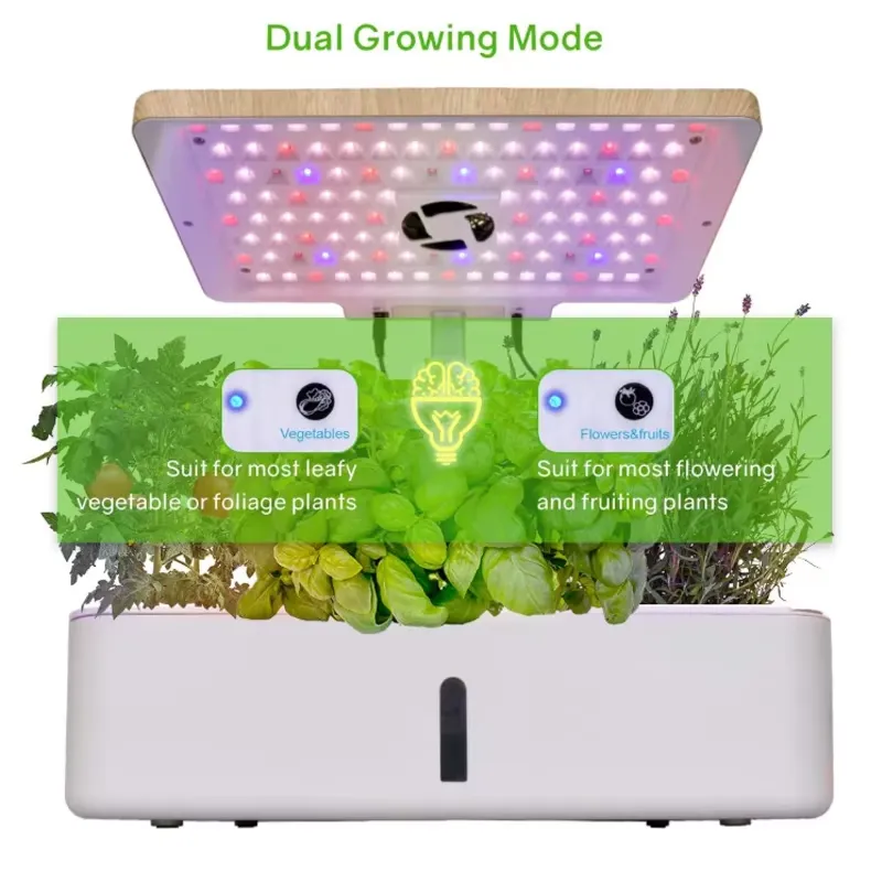 Akıllı Hidroponik İç Mekan Bah - Smart Garden Offices incelemesi ve fiyatı