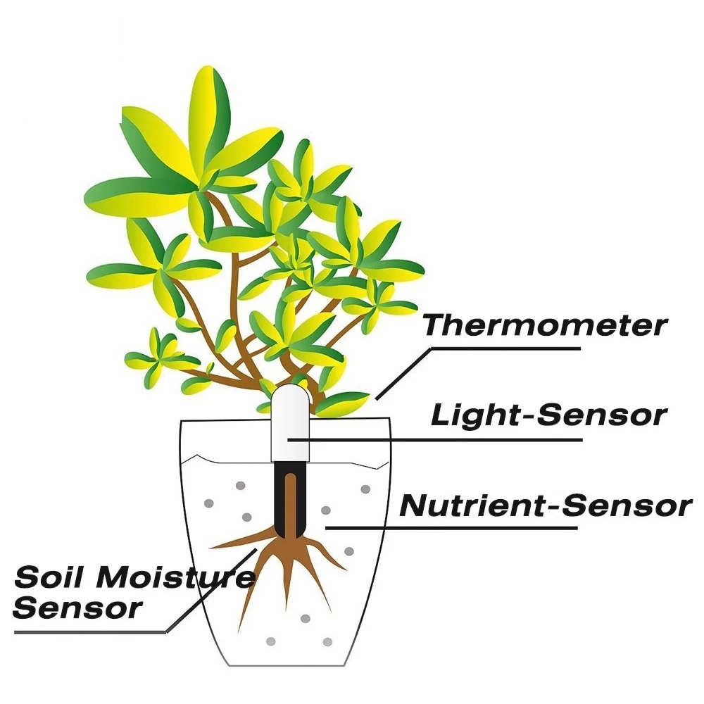 HHCC Çiçek Monitörü Flora Bahç - Smart Garden Monitor incelemesi ve fiyatı