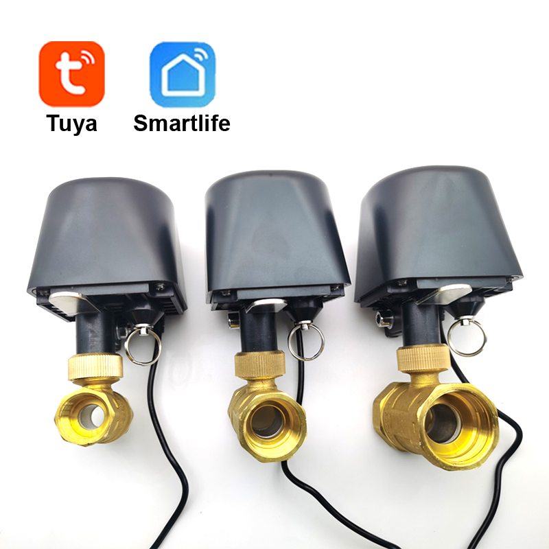 Tuya WiFi veya Zigbee Su Vanas - Smart Garden Zigbee incelemesi ve fiyatı